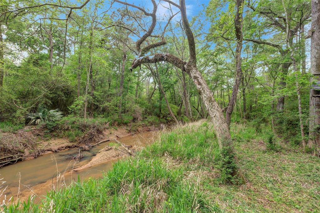 14903 Wildwood Trace, Magnolia, Texas image 42