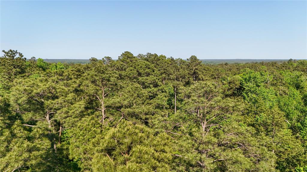 TBD Hwy 69, Woodville, Texas image 38