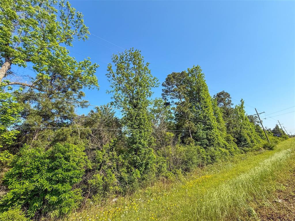 TBD Hwy 69, Woodville, Texas image 19