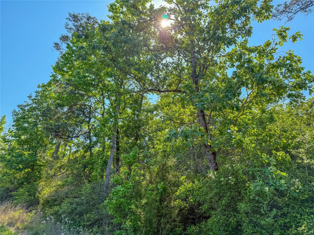 TBD Hwy 69, Woodville, Texas image 15