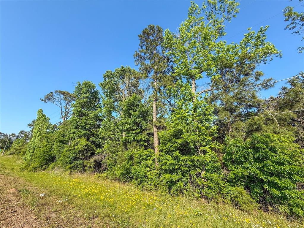 TBD Hwy 69, Woodville, Texas image 21