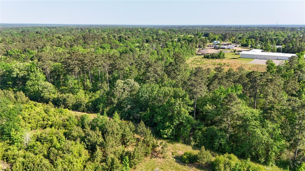 TBD Hwy 69, Woodville, Texas image 34