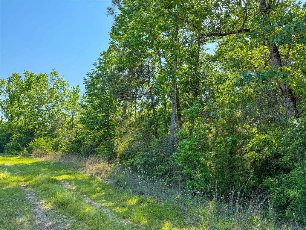 TBD Hwy 69, Woodville, Texas image 1