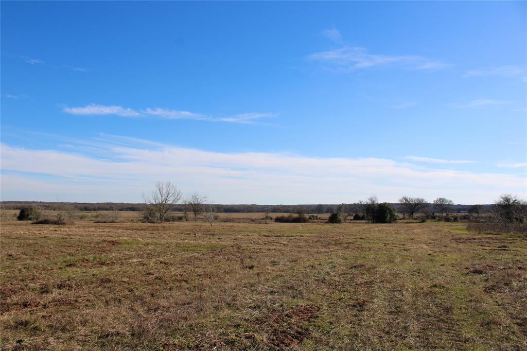 1206 Pr 2205 Cr 412, Lexington, Texas image 4