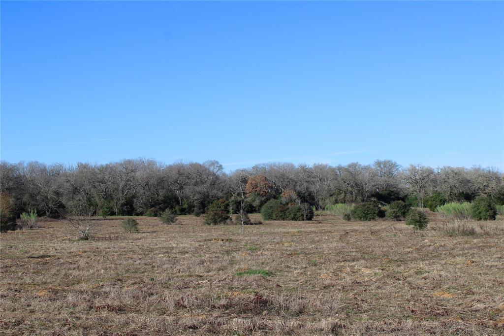 1206 Pr 2205 Cr 412, Lexington, Texas image 3