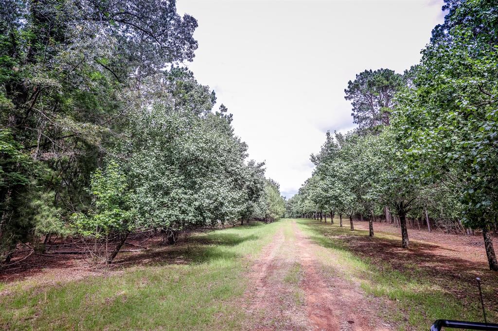 1288 Harkins Lane, Marshall, Texas image 1