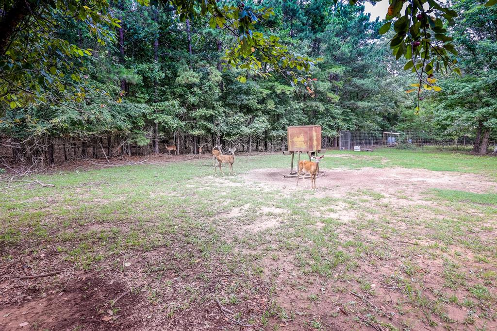 1288 Harkins Lane, Marshall, Texas image 4