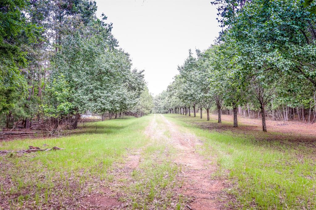 1288 Harkins Lane, Marshall, Texas image 12