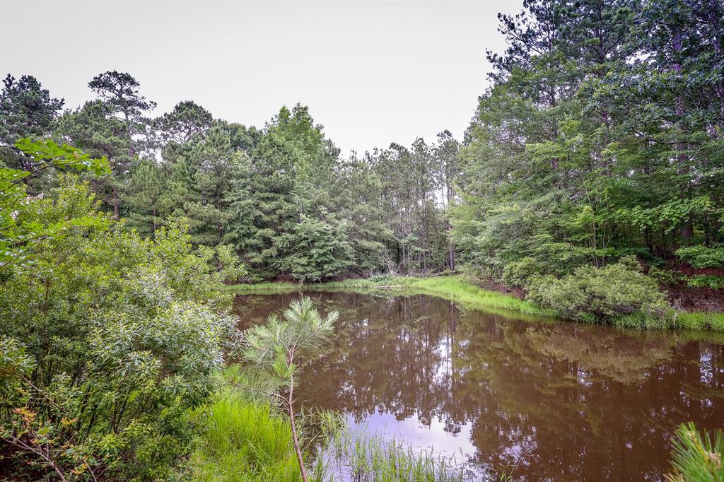 1288 Harkins Lane, Marshall, Texas image 9