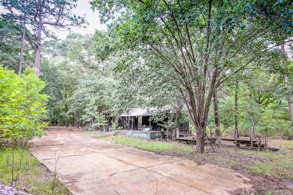 1288 Harkins Lane, Marshall, Texas image 7