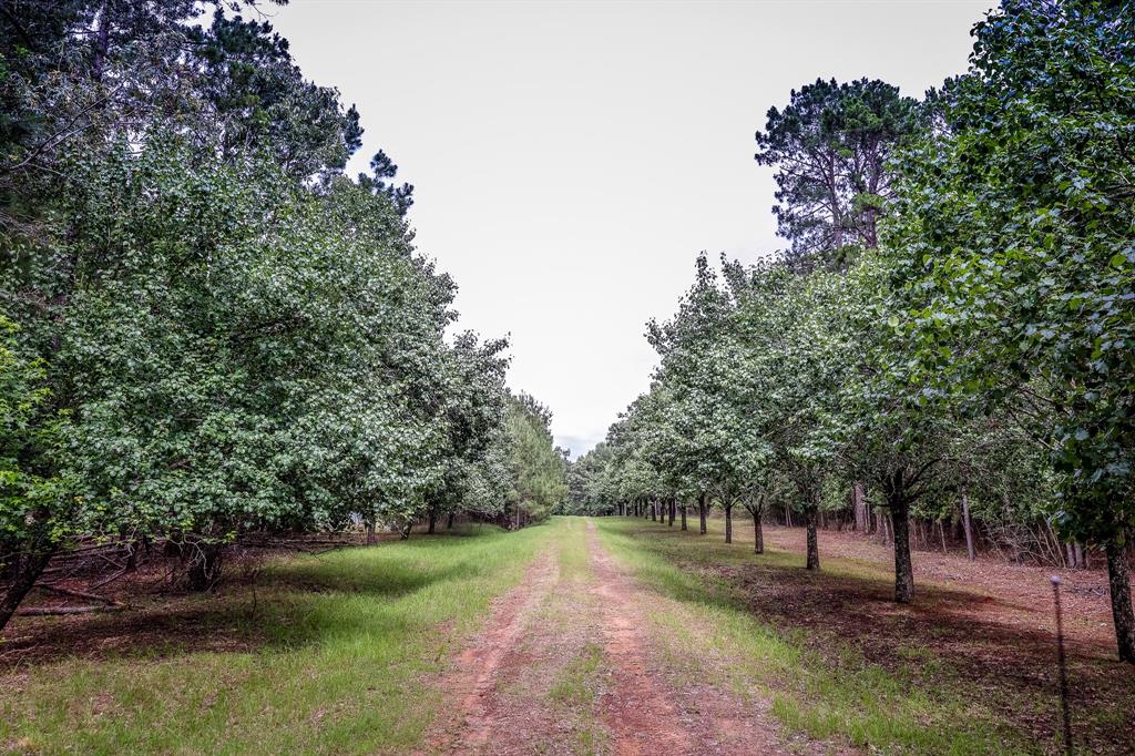 1288 Harkins Lane, Marshall, Texas image 2