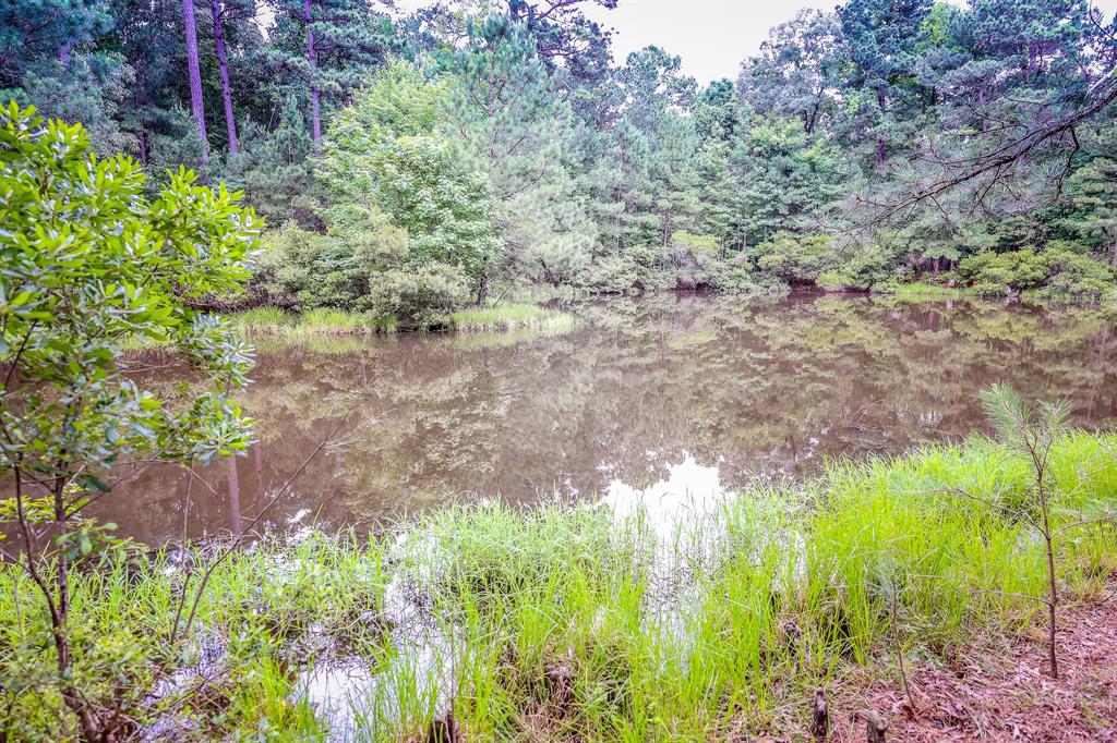 1288 Harkins Lane, Marshall, Texas image 8