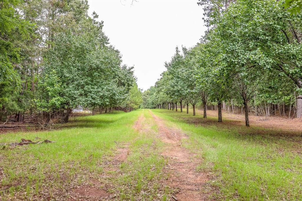 1288 Harkins Lane, Marshall, Texas image 13