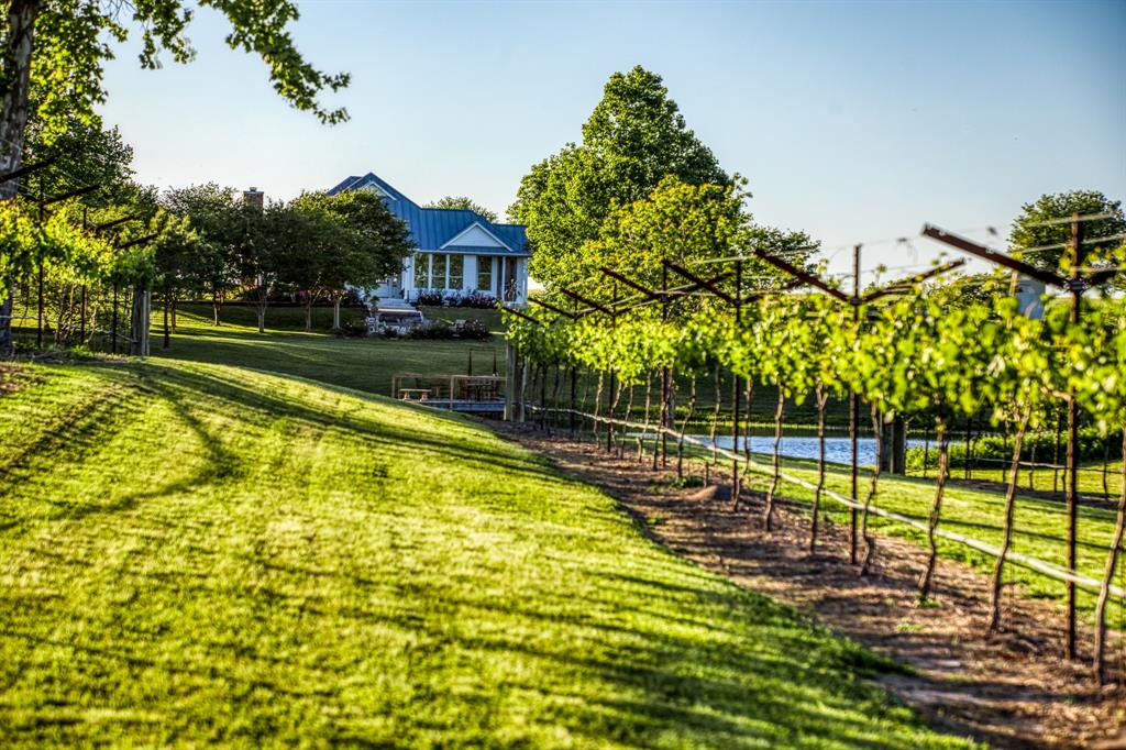 5025 Wickel Road, Burton, Texas image 2