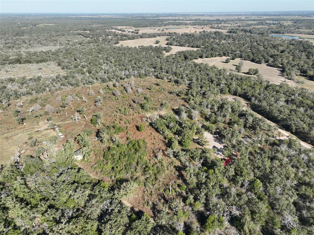 TBD Burr Oak Lane, Somerville, Texas image 18