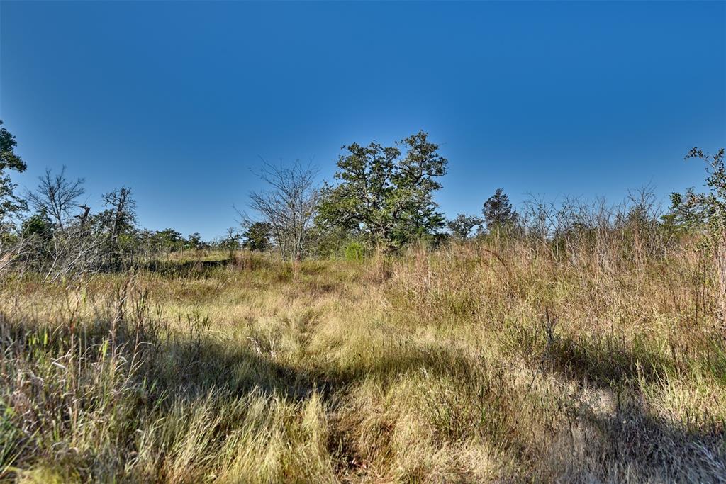 TBD Burr Oak Lane, Somerville, Texas image 10