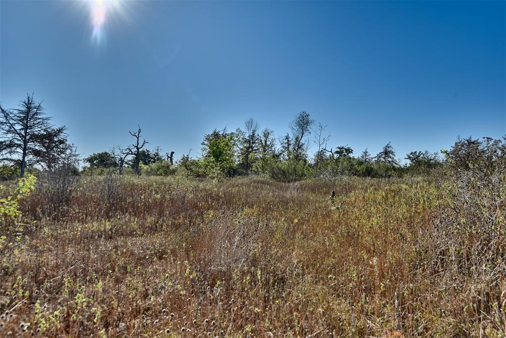 TBD Burr Oak Lane, Somerville, Texas image 12