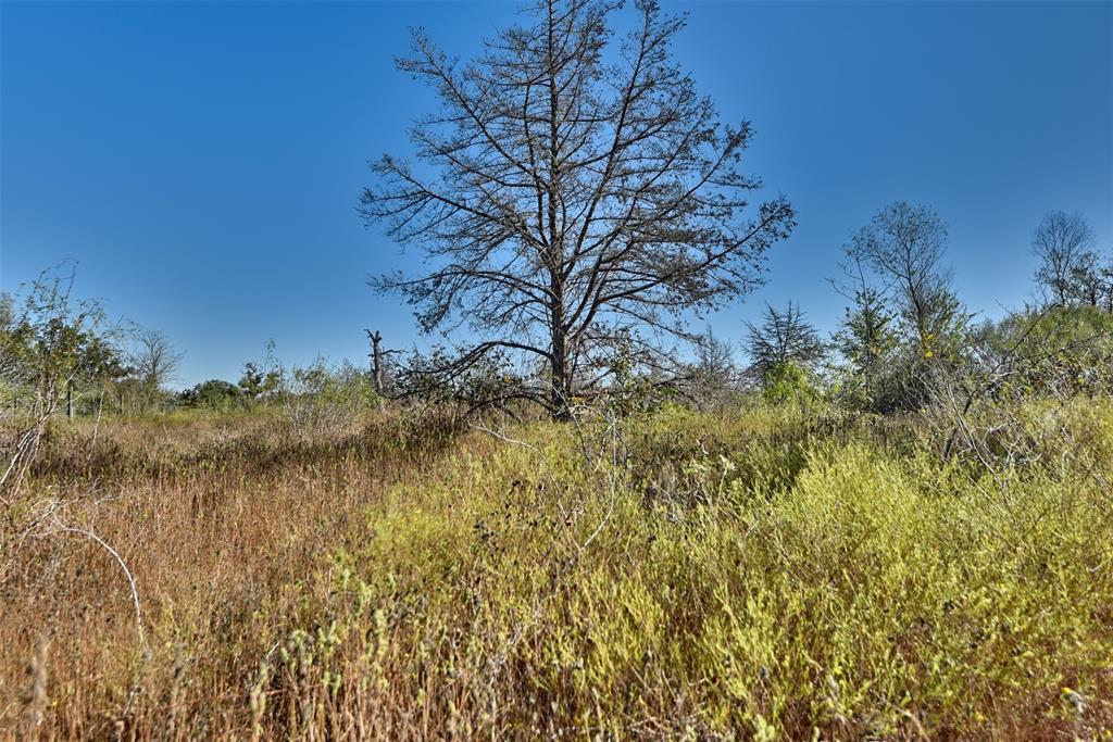 TBD Burr Oak Lane, Somerville, Texas image 14