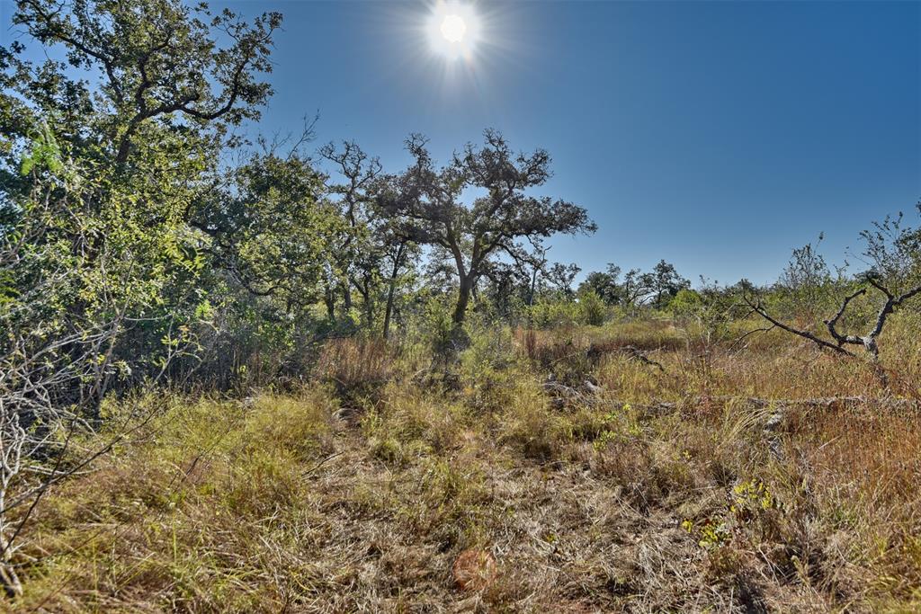 TBD Burr Oak Lane, Somerville, Texas image 4