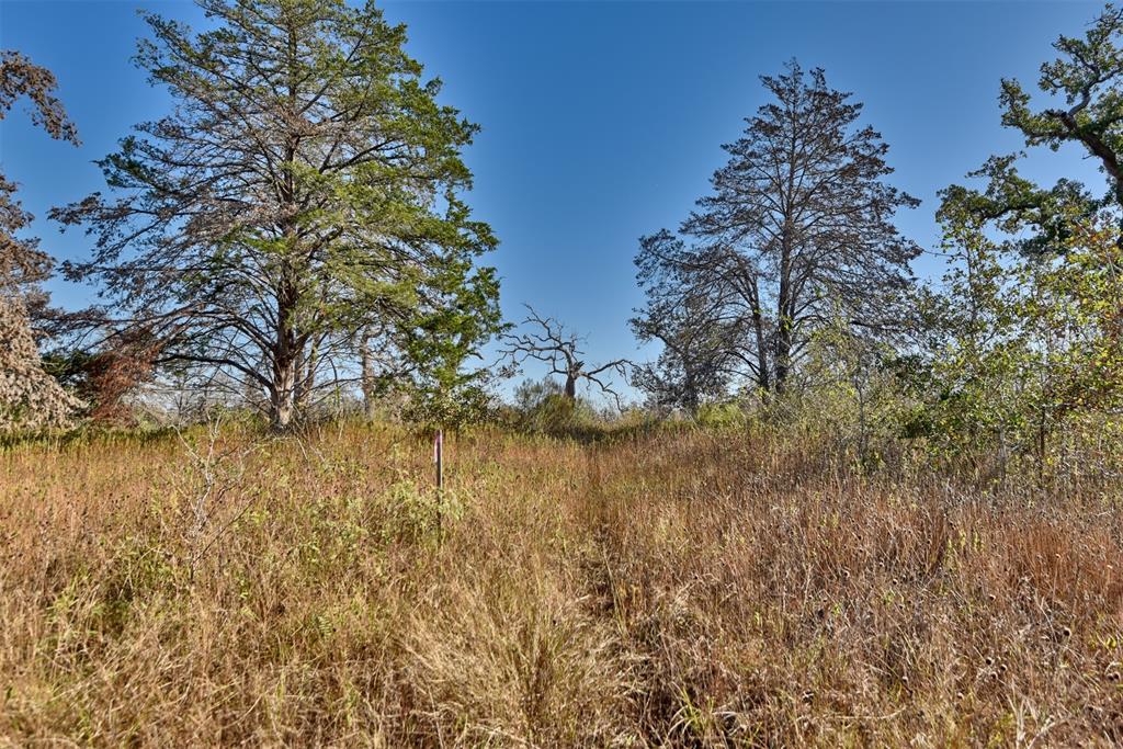 TBD Burr Oak Lane, Somerville, Texas image 8