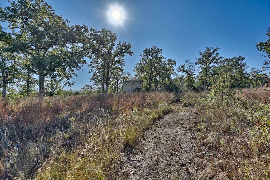 TBD Burr Oak Lane, Somerville, Texas image 1