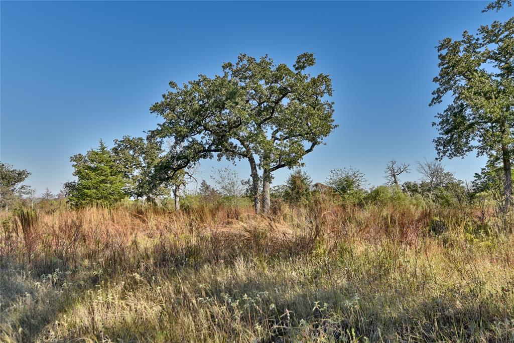 TBD Burr Oak Lane, Somerville, Texas image 6