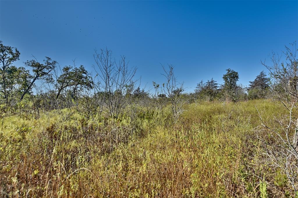 TBD Burr Oak Lane, Somerville, Texas image 15