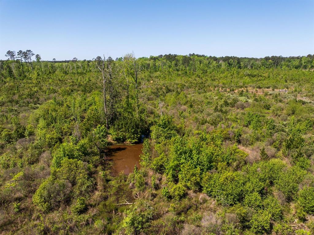 TBD 2 State Hwy 63, Burkeville, Texas image 36