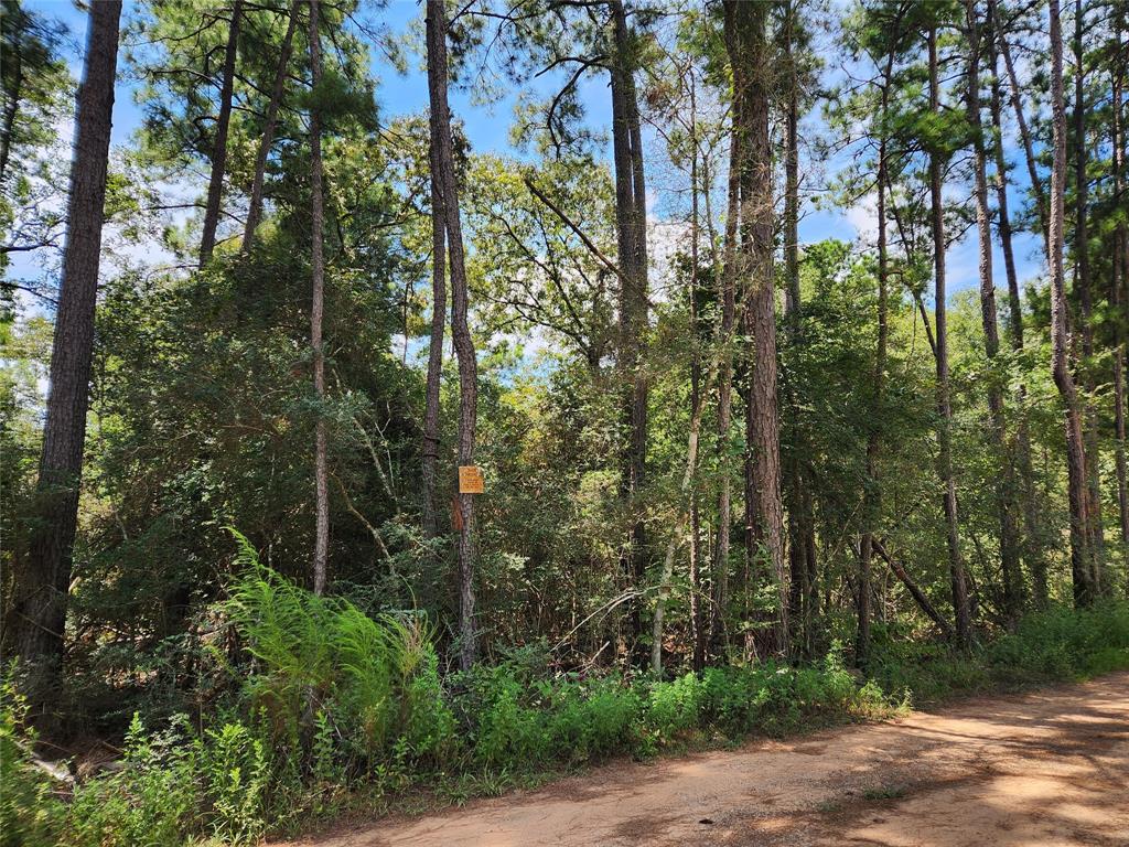 Lot 6 Smokethorn Lane, Plantersville, Texas image 10