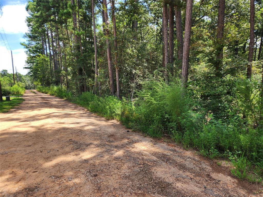 Lot 6 Smokethorn Lane, Plantersville, Texas image 11