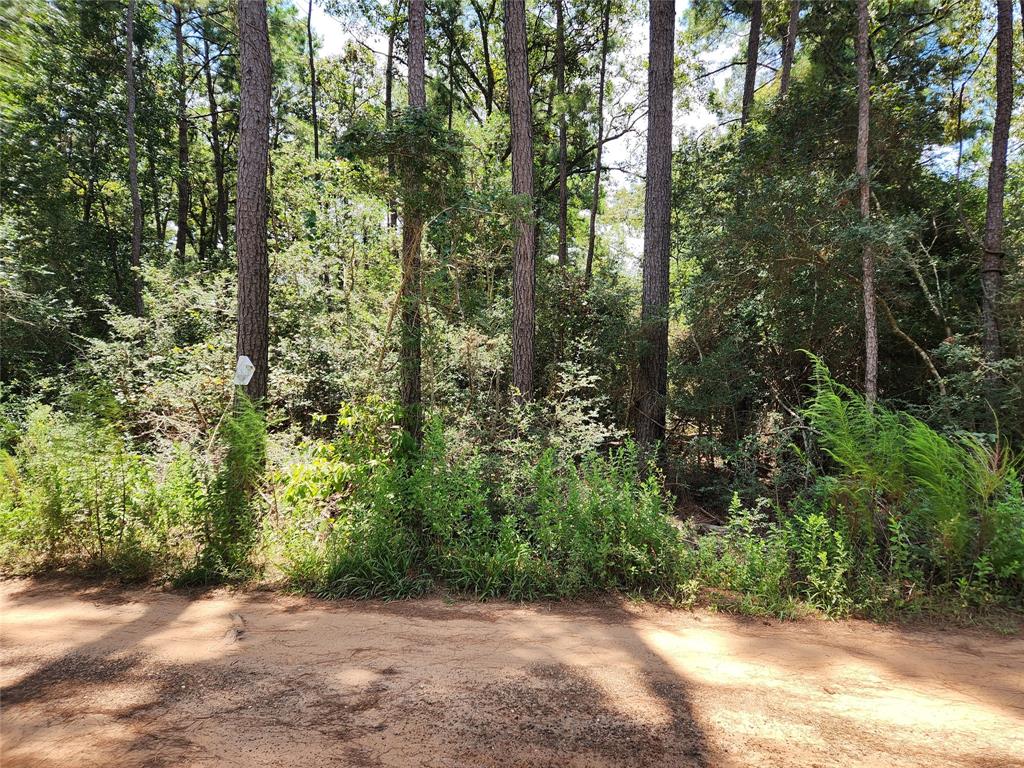 Lot 6 Smokethorn Lane, Plantersville, Texas image 6