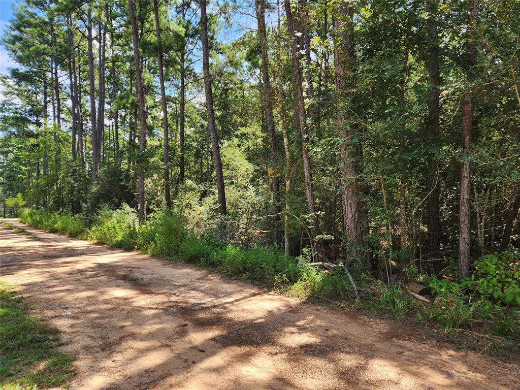 Lot 6 Smokethorn Lane, Plantersville, Texas image 16