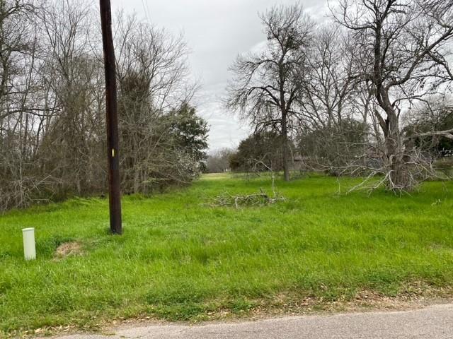 18th Street, Hempstead, Texas image 2