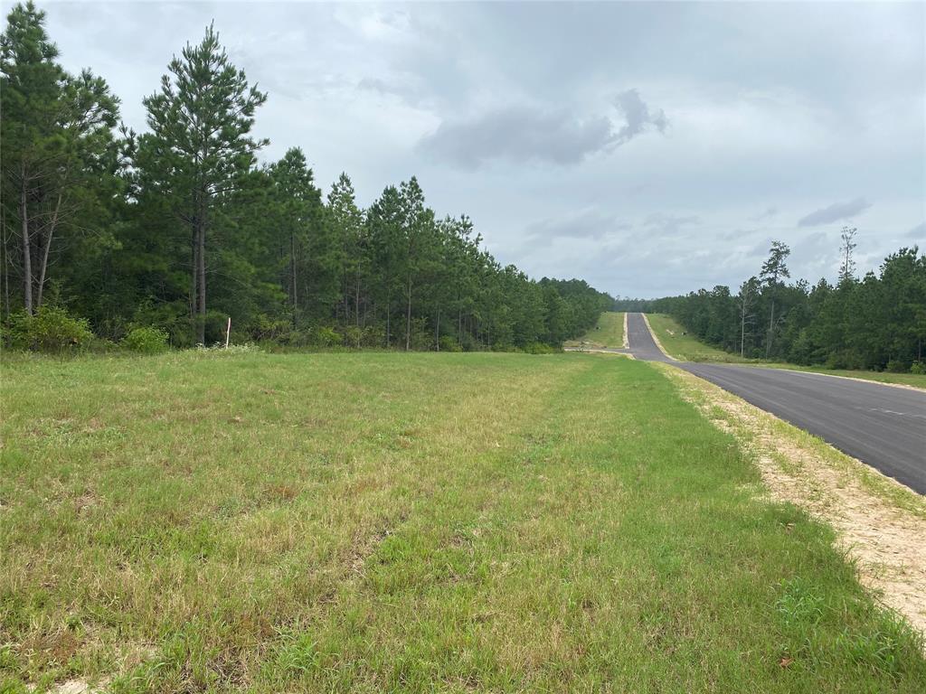 12050 High Branch Way Way, Willis, Texas image 16