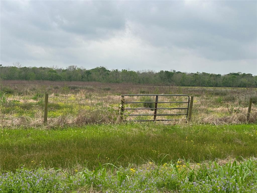 3429 Sawmill Road, Needville, Texas image 7