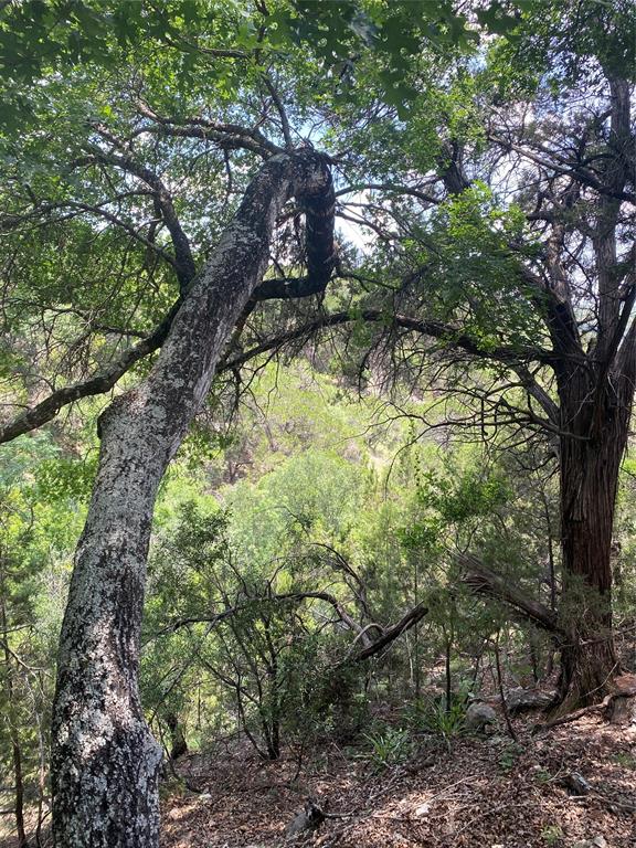 561 Eden Ranch Dr Drive, Canyon Lake, Texas image 8