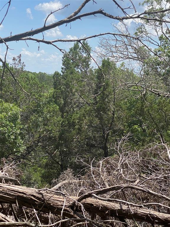 561 Eden Ranch Dr Drive, Canyon Lake, Texas image 9