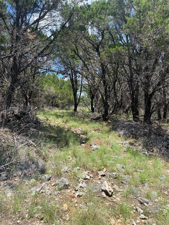 561 Eden Ranch Dr Drive, Canyon Lake, Texas image 10