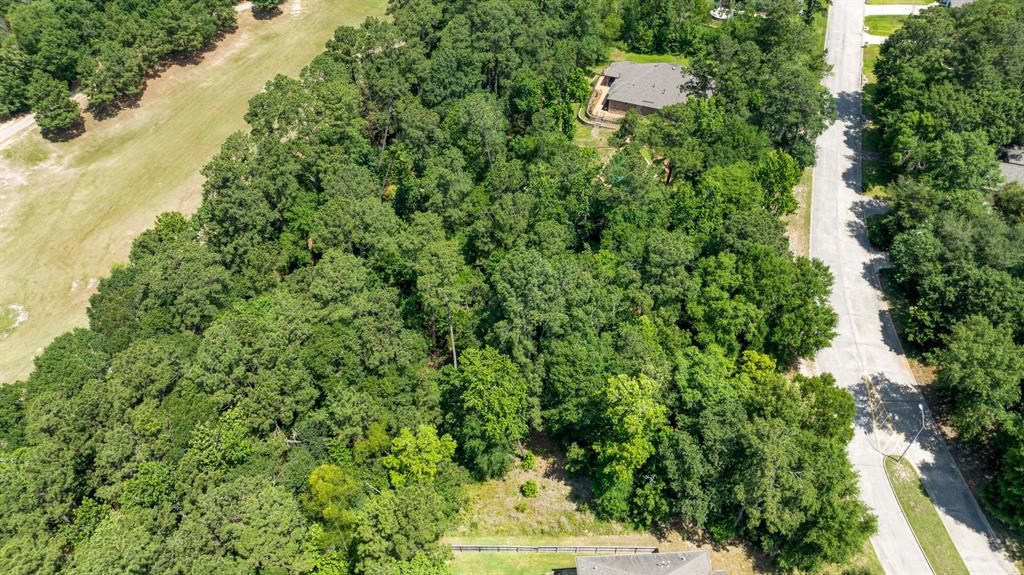 4839 W West Fork Boulevard, Conroe, Texas image 8