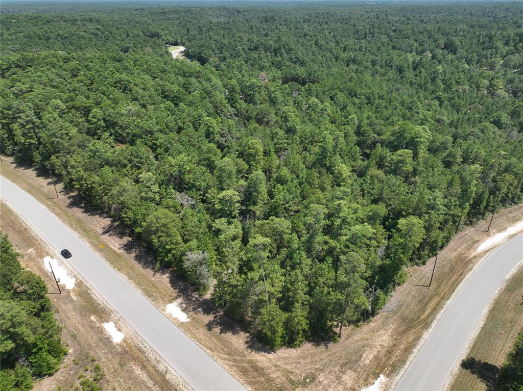 Retreat Road, Huntsville, Texas image 4