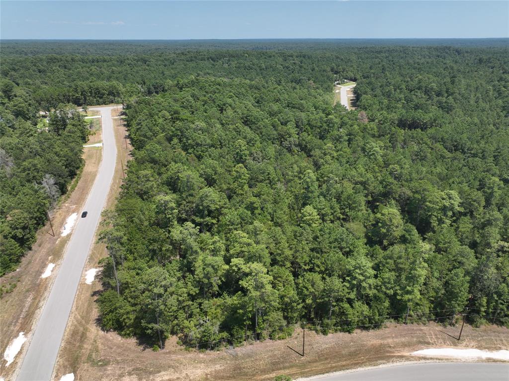 Retreat Road, Huntsville, Texas image 3