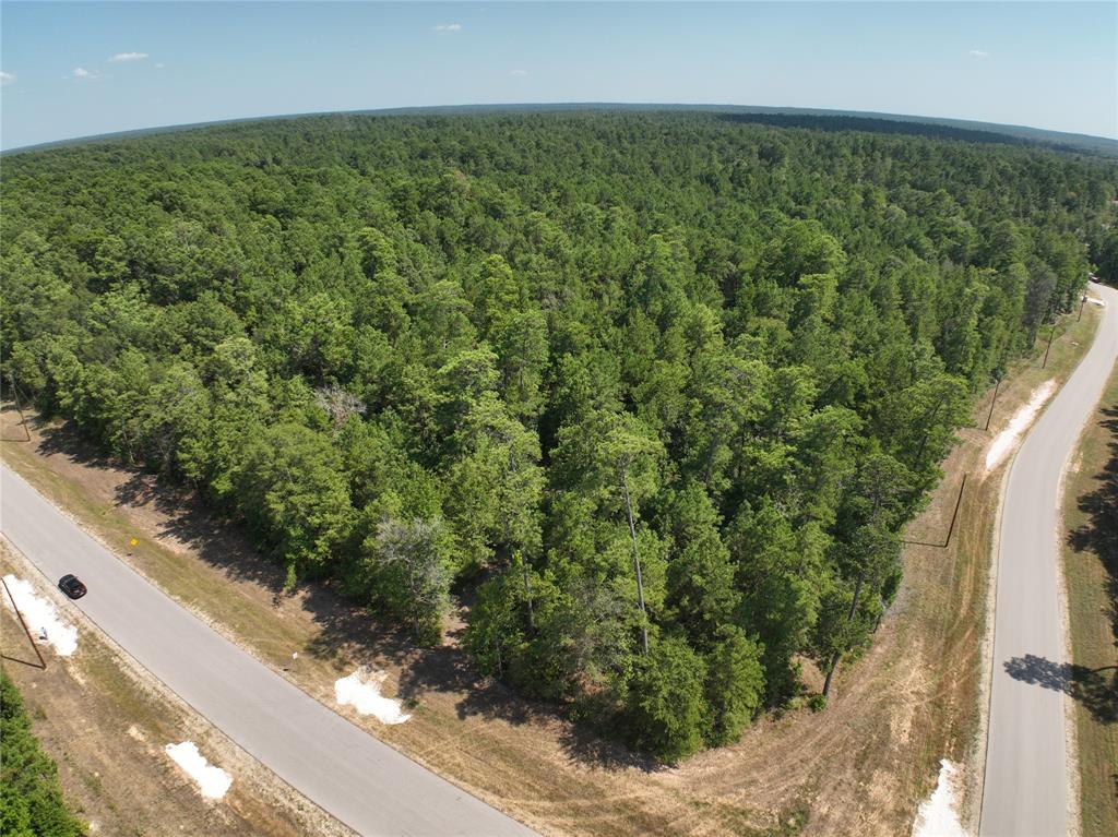 Retreat Road, Huntsville, Texas image 2