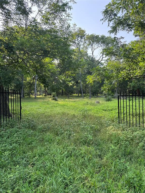 Tierra Grande Drive, Needville, Texas image 2