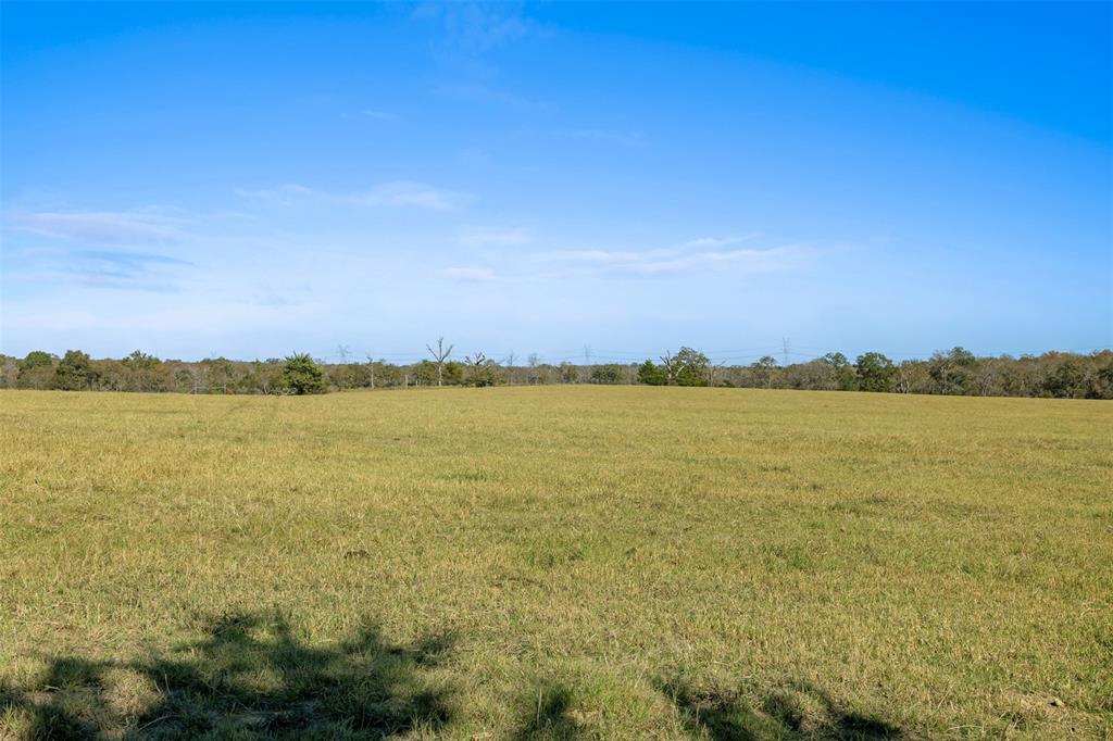 5.9 AC Farm To Market 1940, Franklin, Texas image 5