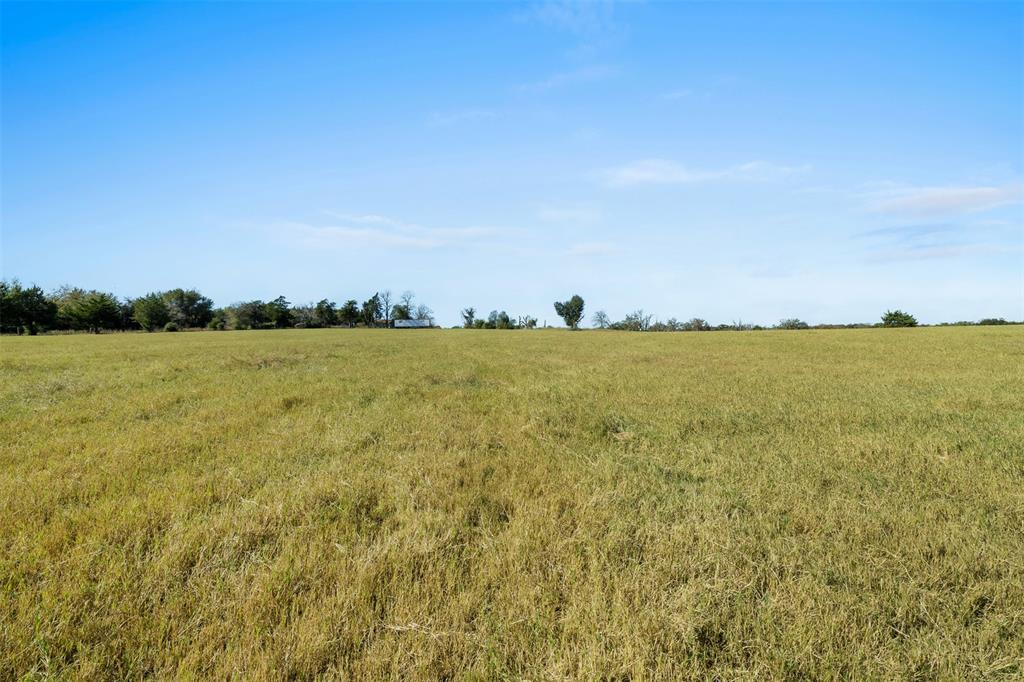 5.9 AC Farm To Market 1940, Franklin, Texas image 4