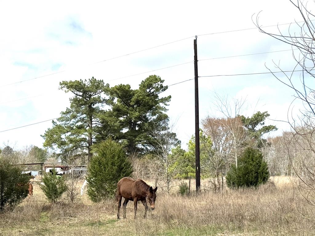 8735 Fm 2819, Anderson, Texas image 7