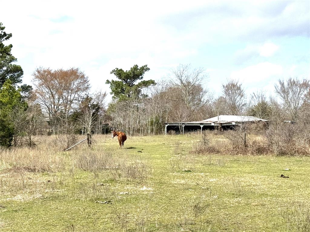 8735 Fm 2819, Anderson, Texas image 8