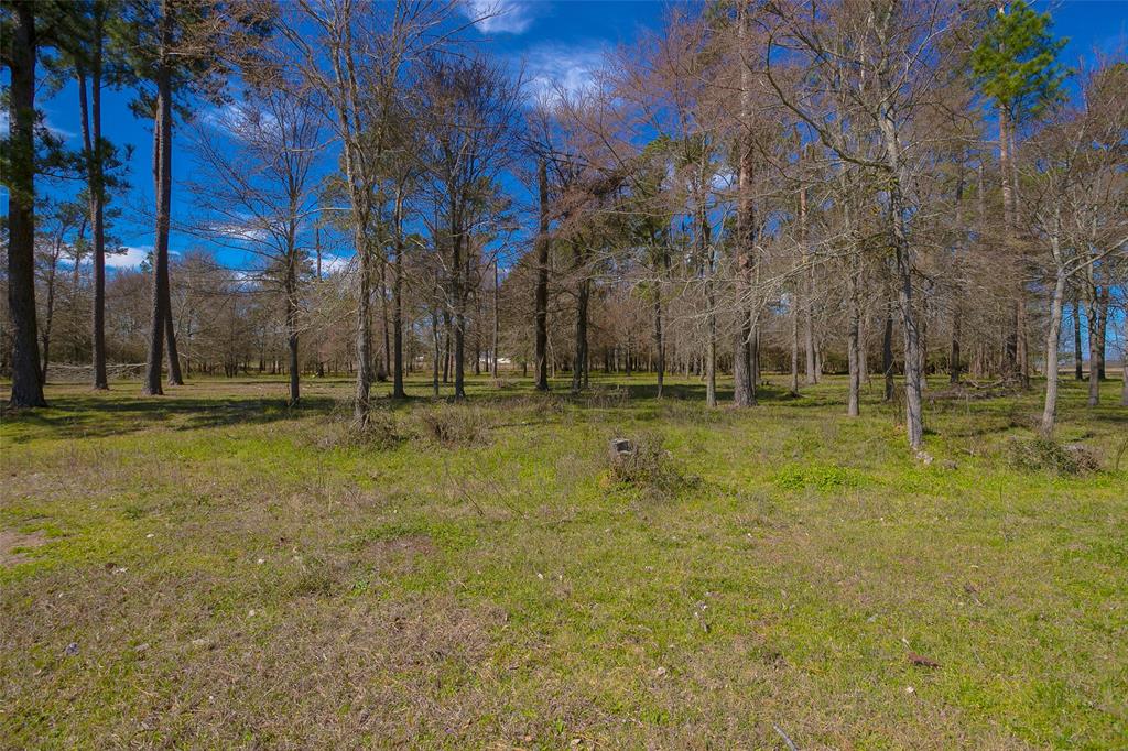 5687 County Road 216, Richards, Texas image 43