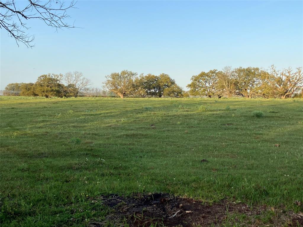 33317 Hwy 36, West Columbia, Texas image 8