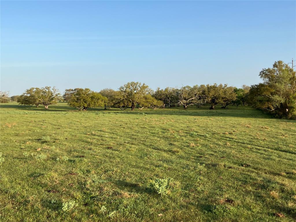 33317 Hwy 36, West Columbia, Texas image 11